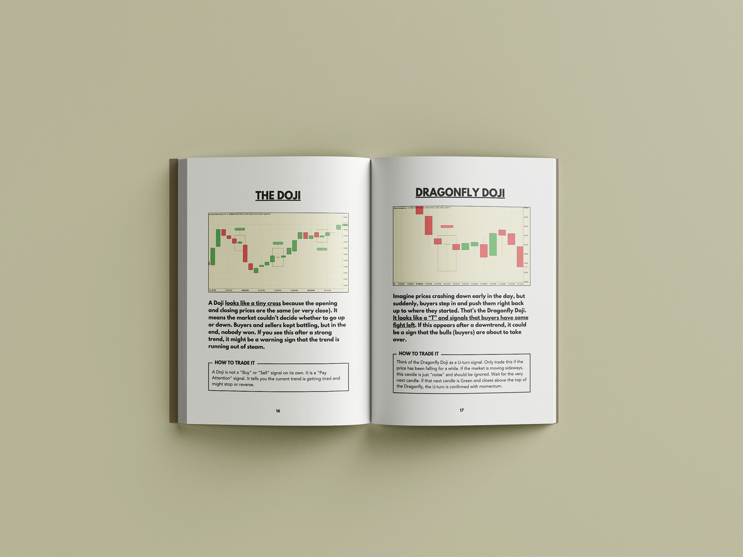 A Visual Guide of Candlestick Patterns and Chart Setups